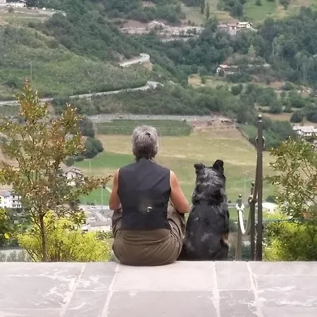 Lo Tzeno 게스트하우스 3*