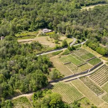 Lo Tzeno 3* 페니스